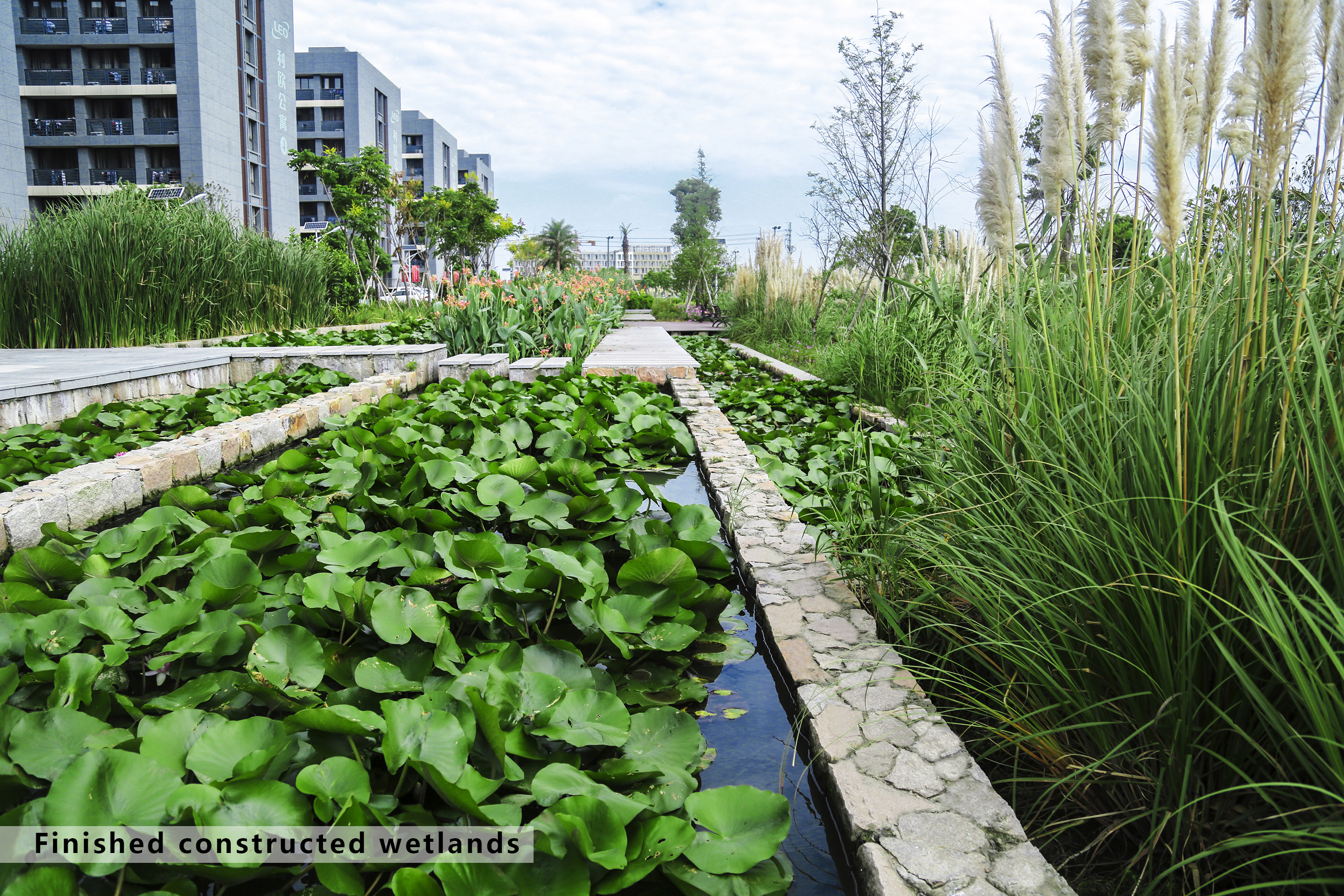 MUSE Design Winners - Sustainable Water Management and Resilient Landscape for LEO